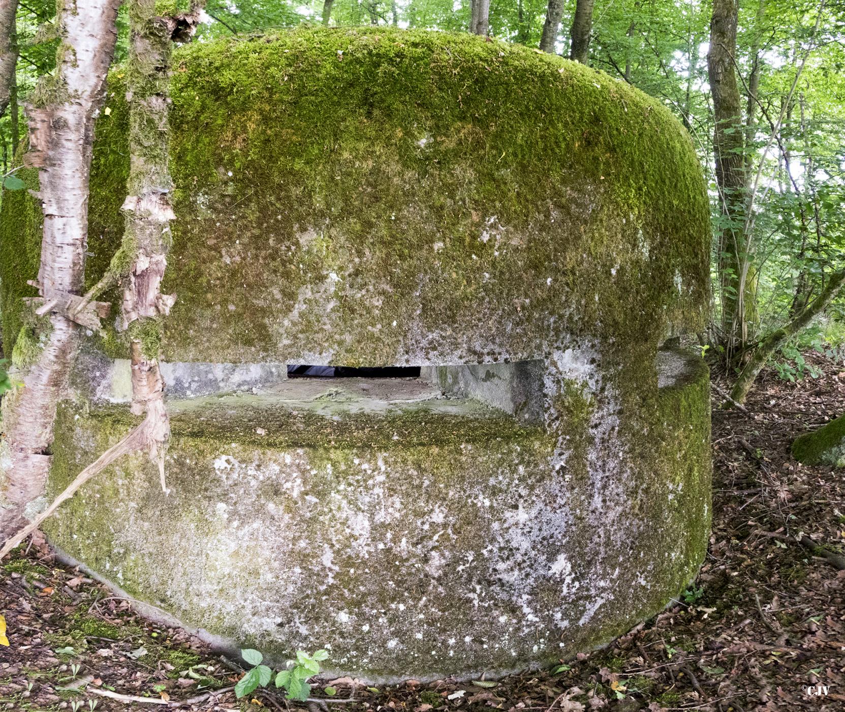 Ligne Maginot - HELLENWALD 6 - (Observatoire d'infanterie) -  - Lia VERMEULEN