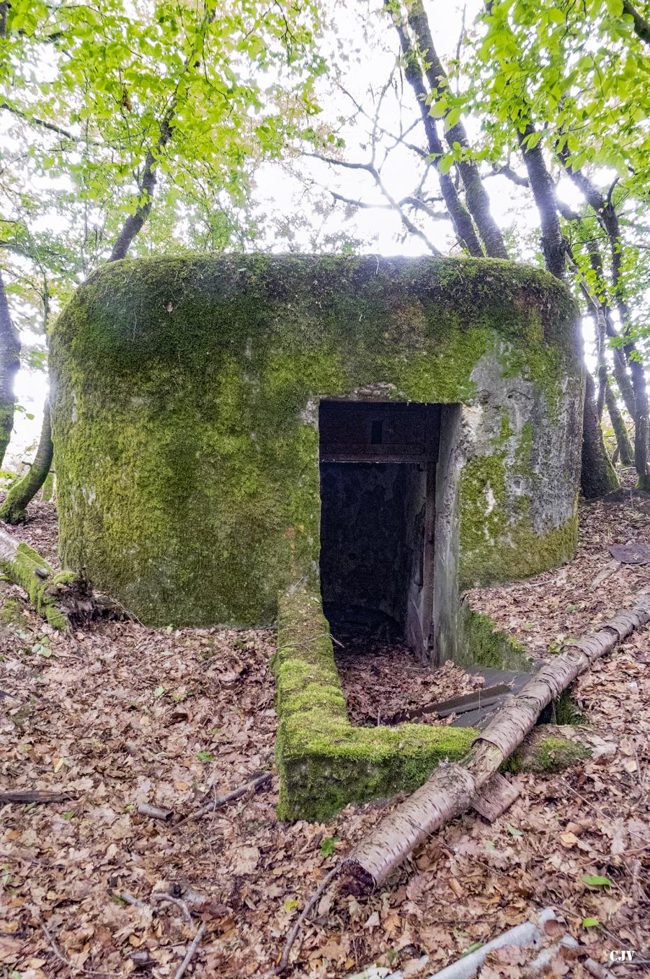 Ligne Maginot - HELLENWALD 6 - (Observatoire d'infanterie) -  - Lia VERMEULEN