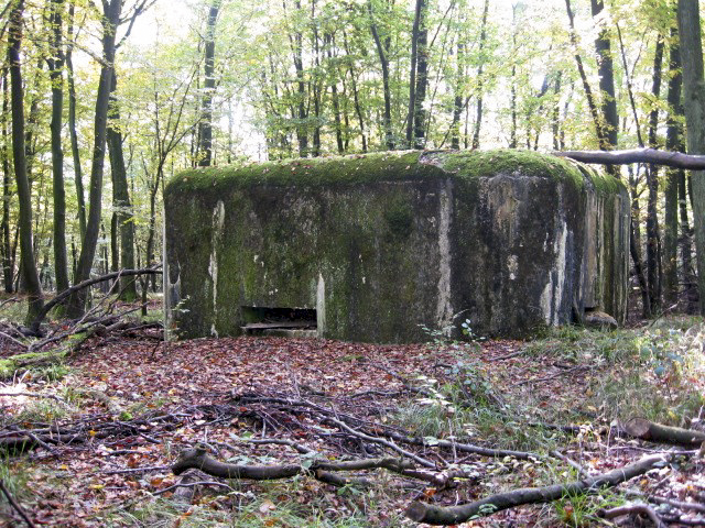 Ligne Maginot - HELLENWALD 7 - (Central téléphonique d'observation) - Vue générale - Christian LENHARD
