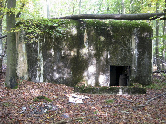 Ligne Maginot - HELLENWALD 7 - (Central téléphonique d'observation) - Façade arrière - Christian LENHARD