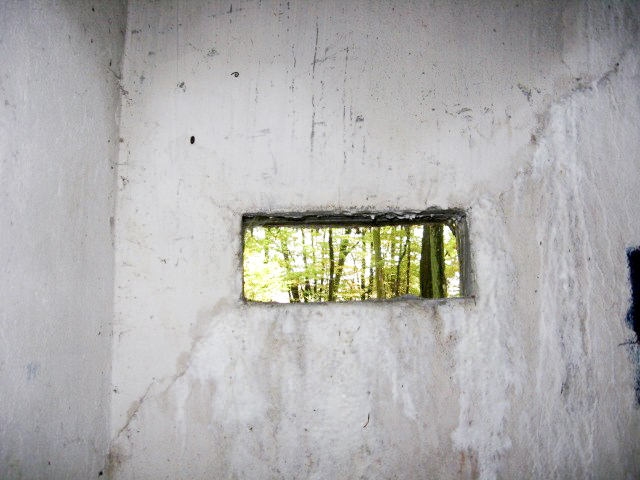 Ligne Maginot - HELLENWALD 7 - (Central téléphonique d'observation) - Créneau d'observation - Christian LENHARD
