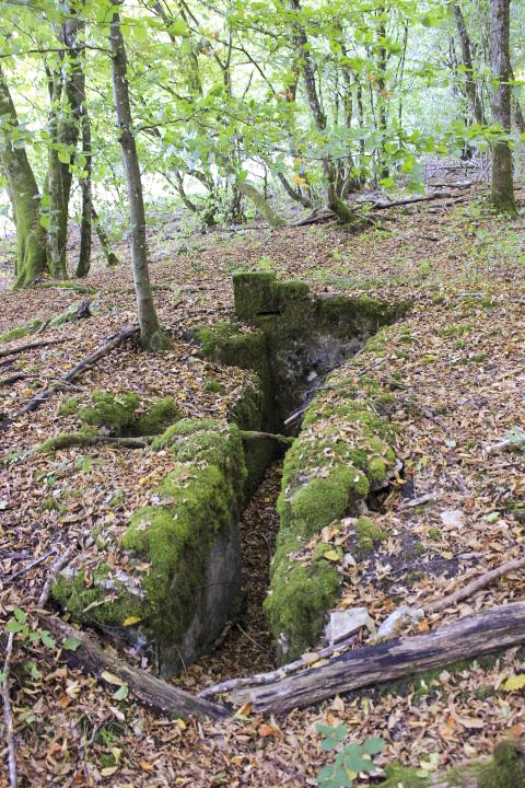 Ligne Maginot - HELLENWALD 10 - (Cuve pour arme d'infanterie) -  - jin jac