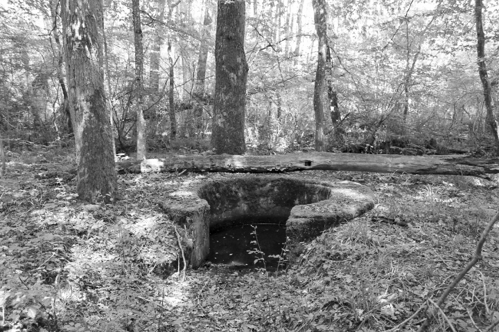 Ligne Maginot - HUEHNERBERG (TD N° 173) - (Cuve pour arme d'infanterie) - Vue générale - Christian LENHARD