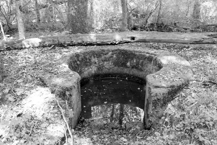 Ligne Maginot - HUEHNERBERG (TD N° 173) - (Cuve pour arme d'infanterie) - Vue générale - Christian LENHARD