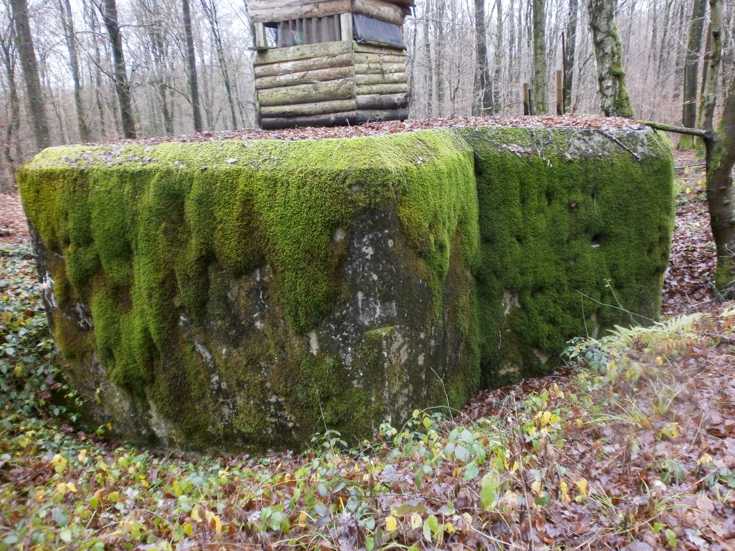 Ligne Maginot - HUEHNERBERG 1 - (Blockhaus pour arme infanterie) -  - jin jac