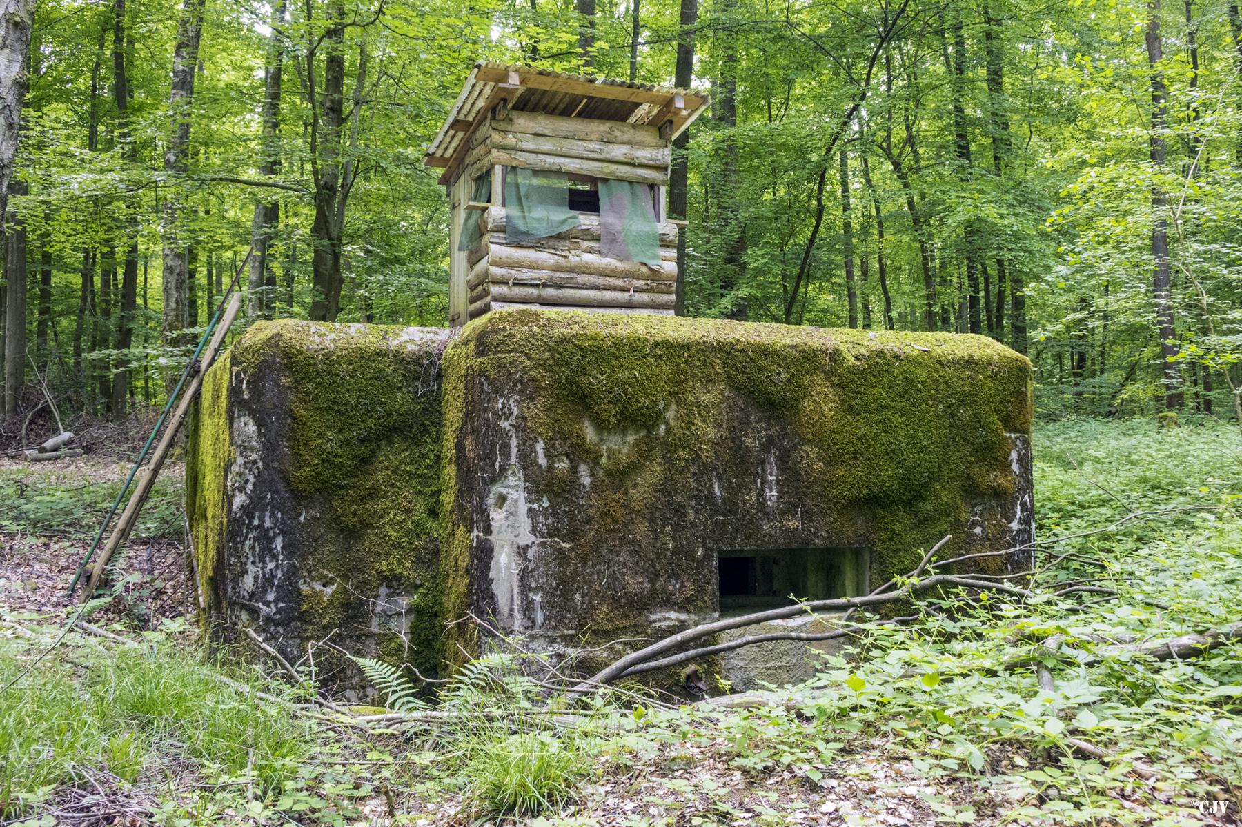 Ligne Maginot - HUEHNERBERG 1 - (Blockhaus pour arme infanterie) -  - Lia VERMEULEN