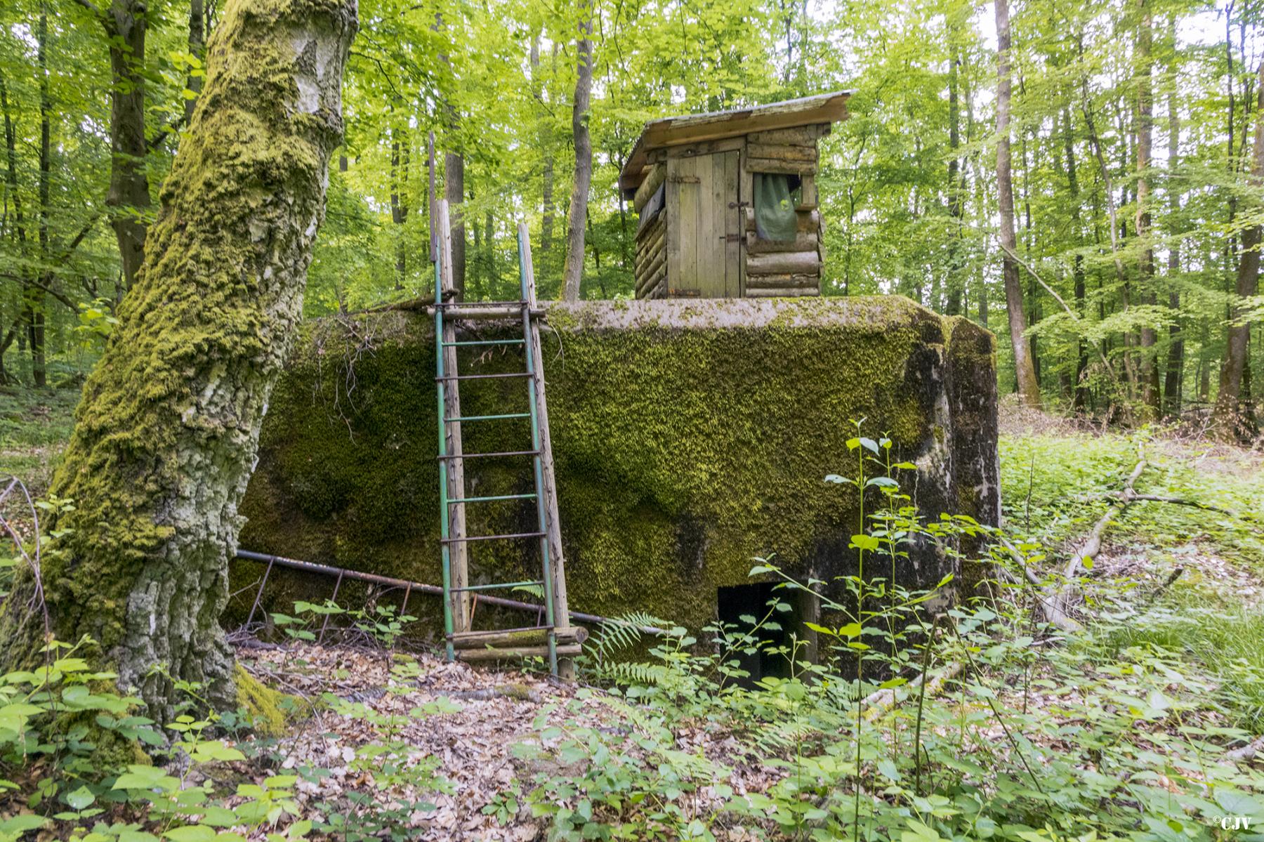 Ligne Maginot - HUEHNERBERG 1 - (Blockhaus pour arme infanterie) -  - Lia VERMEULEN