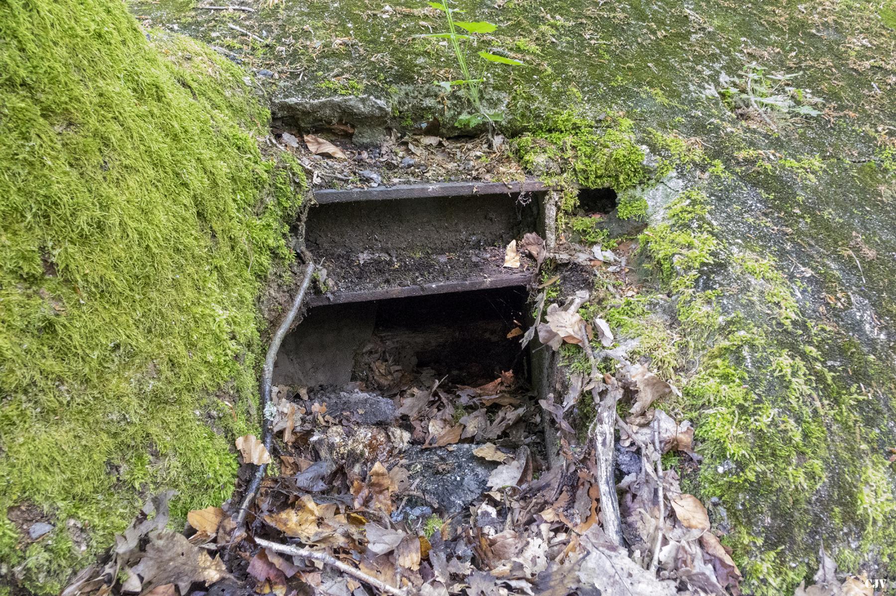 Ligne Maginot - HUEHNERBERG 3 - (Blockhaus pour arme infanterie) - Un des créneaux - Lia VERMEULEN