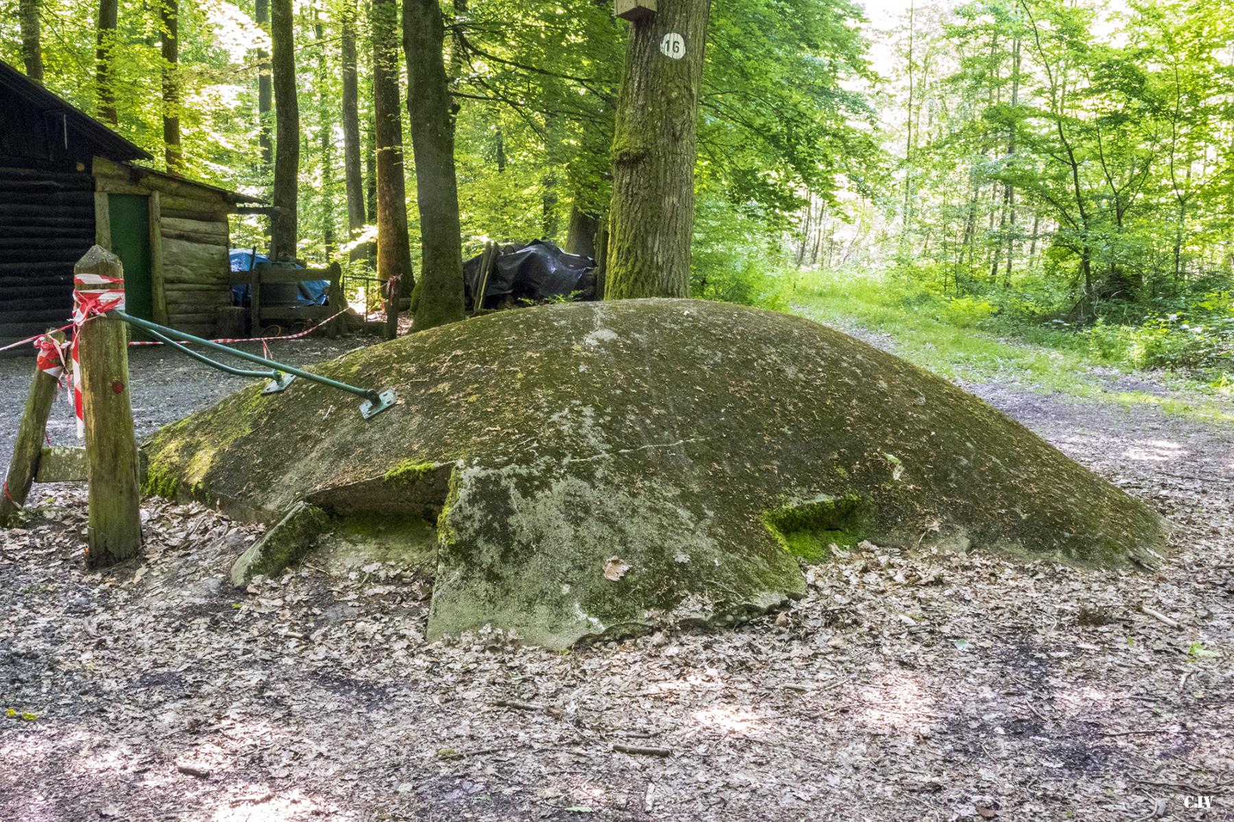 Ligne Maginot - HUEHNERBERG 3 - (Blockhaus pour arme infanterie) - Le dôme qui ressemble un peu la casemate Pamart - Lia VERMEULEN