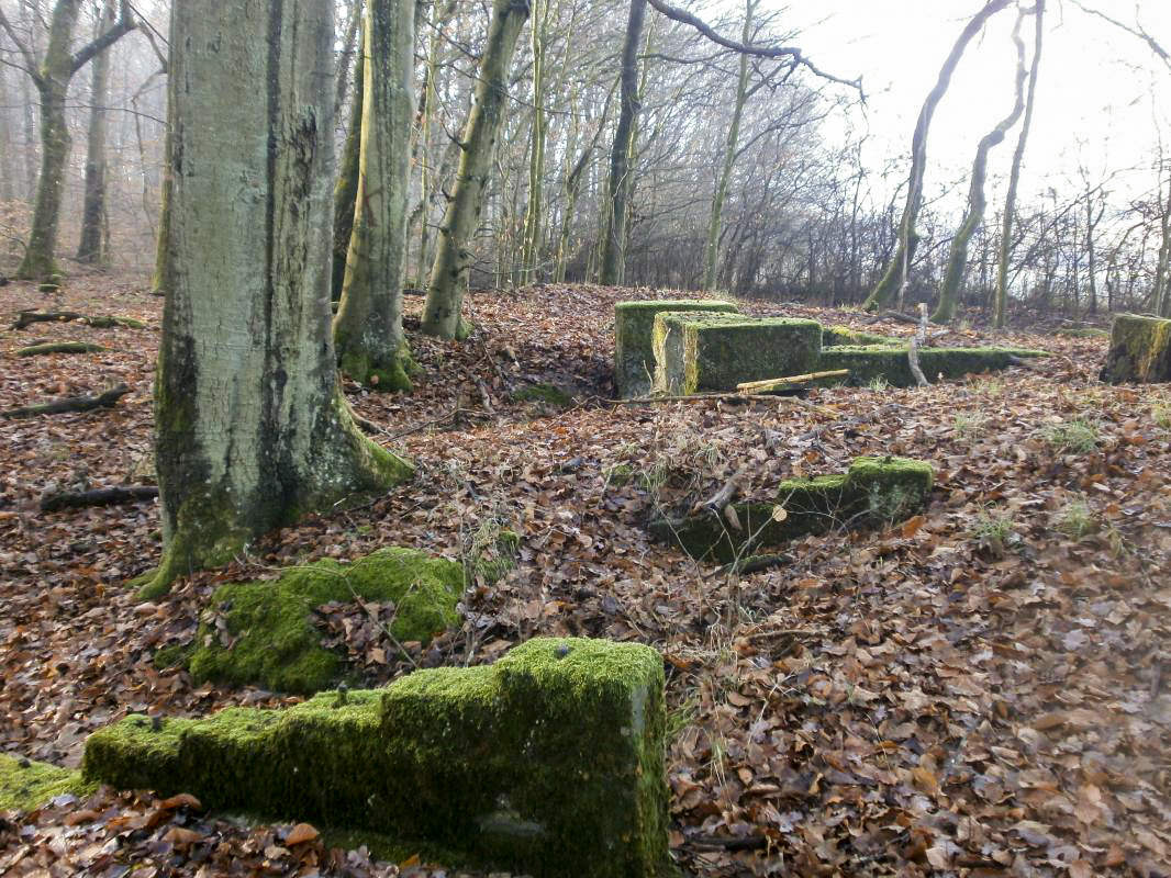 Ligne Maginot - KALMERICH 4 - (Observatoire d'infanterie) -  - jin jac