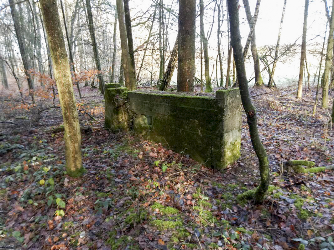 Ligne Maginot - KALMERICH 7 - (Blockhaus pour arme infanterie) -  - jin jac
