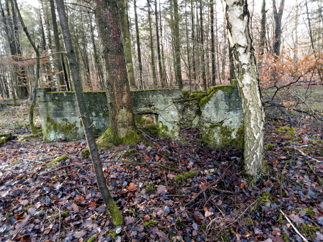 Ligne Maginot - KALMERICH 7 - (Blockhaus pour arme infanterie) -  - jin jac