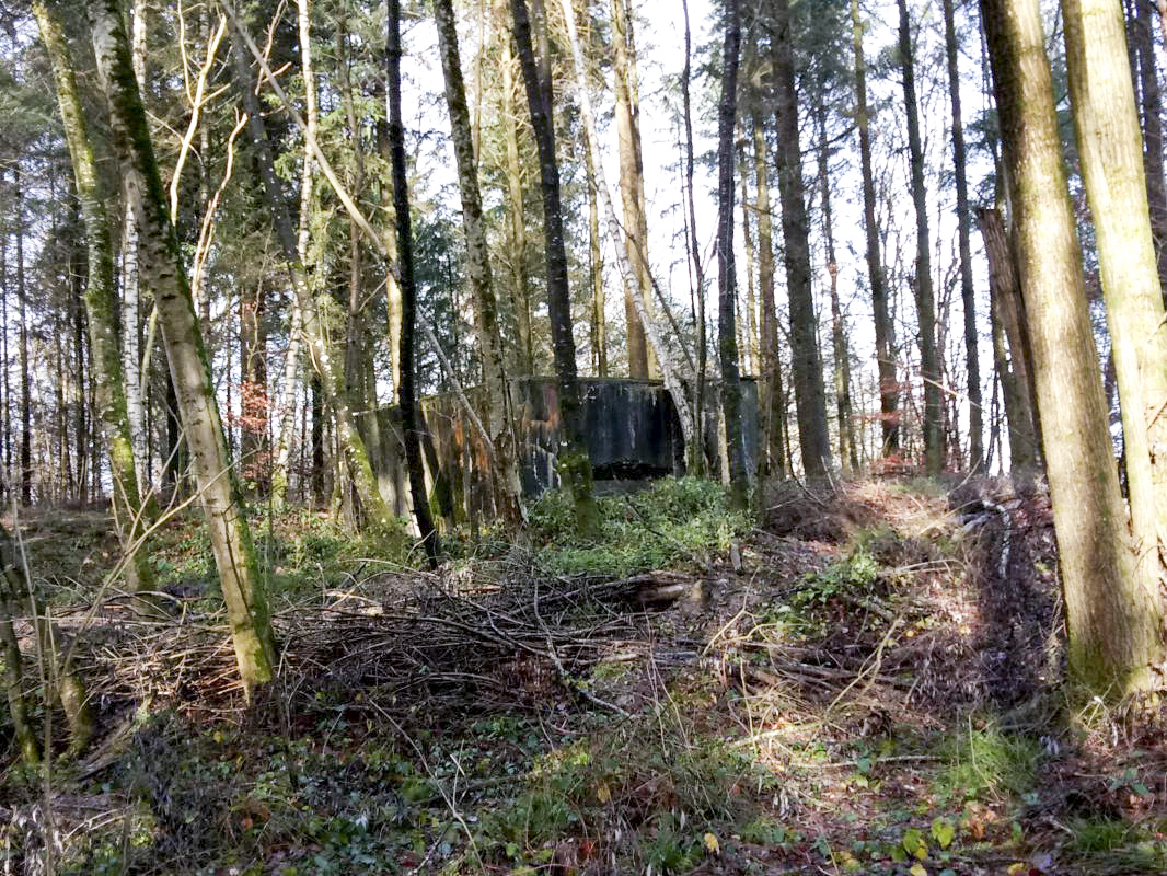 Ligne Maginot - KALMERICH 8 - (Blockhaus pour arme infanterie) -  - jin jac