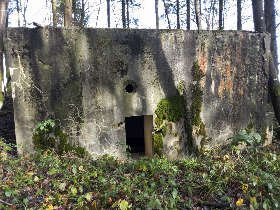 Ligne Maginot - KALMERICH 8 - (Blockhaus pour arme infanterie) -  - jin jac