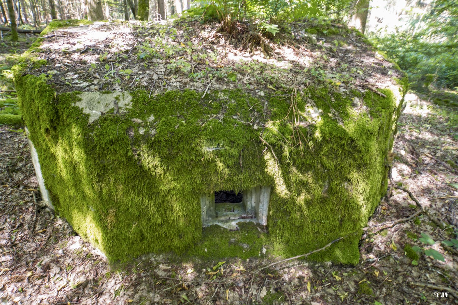 Ligne Maginot - LANGSTWALD 1 - (Blockhaus pour arme infanterie) -  - Lia VERMEULEN