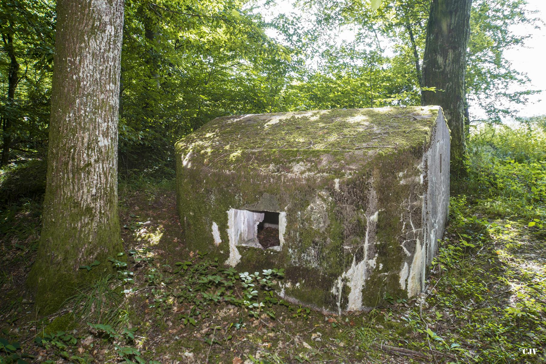 Ligne Maginot - LANGSTWALD 2 - (Blockhaus pour arme infanterie) -  - Lia VERMEULEN