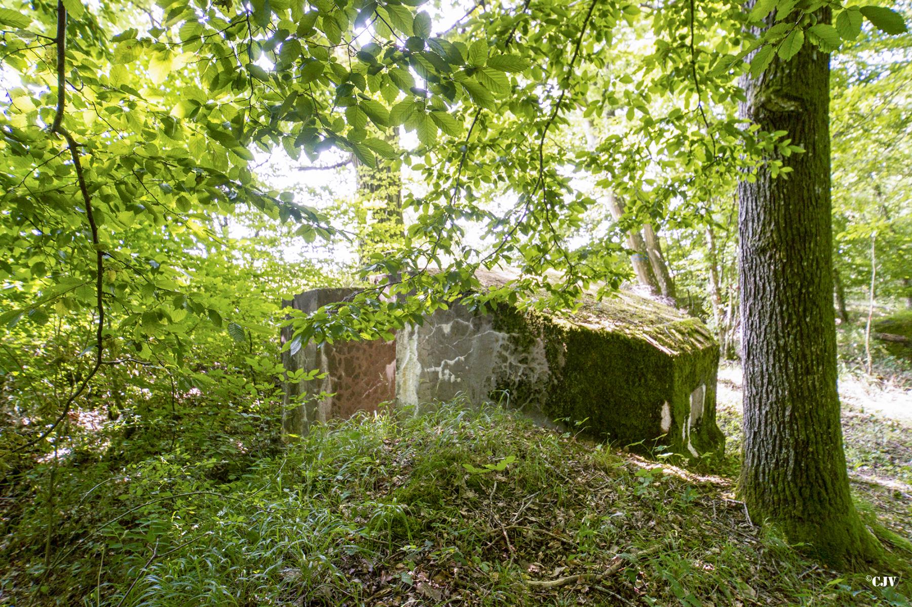 Ligne Maginot - LANGSTWALD 2 - (Blockhaus pour arme infanterie) -  - Lia VERMEULEN