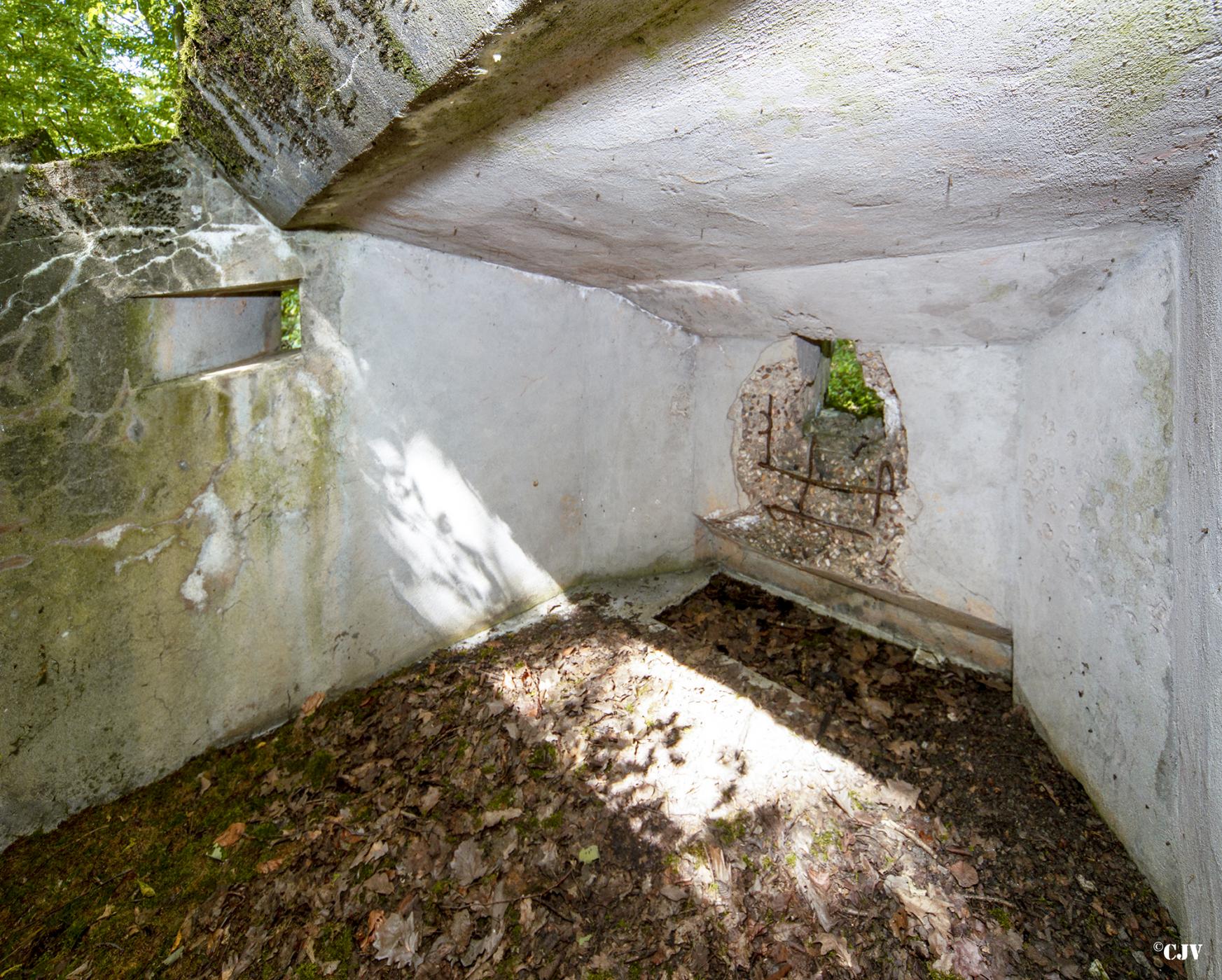 Ligne Maginot - LANGSTWALD 2 - (Blockhaus pour arme infanterie) -  - Lia VERMEULEN
