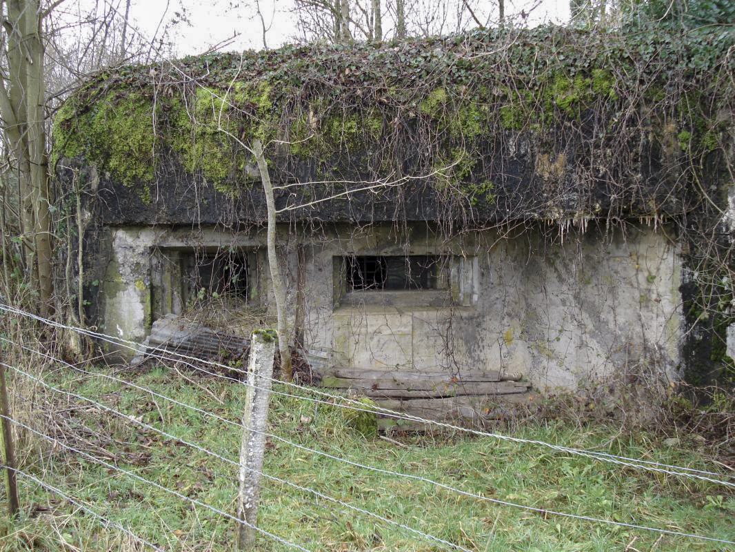 Ligne Maginot - 109 - PETIT REMILLY - (Blockhaus lourd type STG / STG-FCR - Double) - Les créneaux - R Tucker