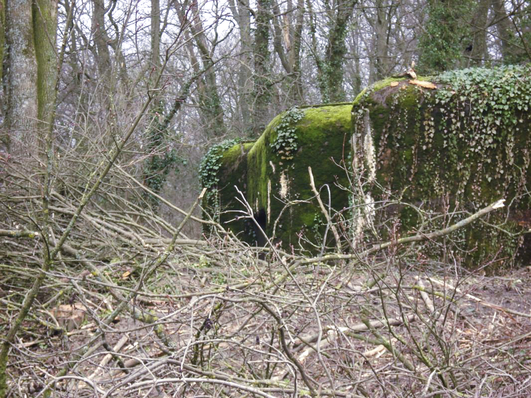 Ligne Maginot - 103 - CHATEAU BELLEVUE - (Blockhaus lourd type STG / STG-FCR - Double) -  - R Tucker