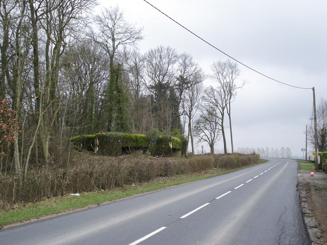 Ligne Maginot - 103 - CHATEAU BELLEVUE - (Blockhaus lourd type STG / STG-FCR - Double) - La route vers château Bellevue - R Tucker