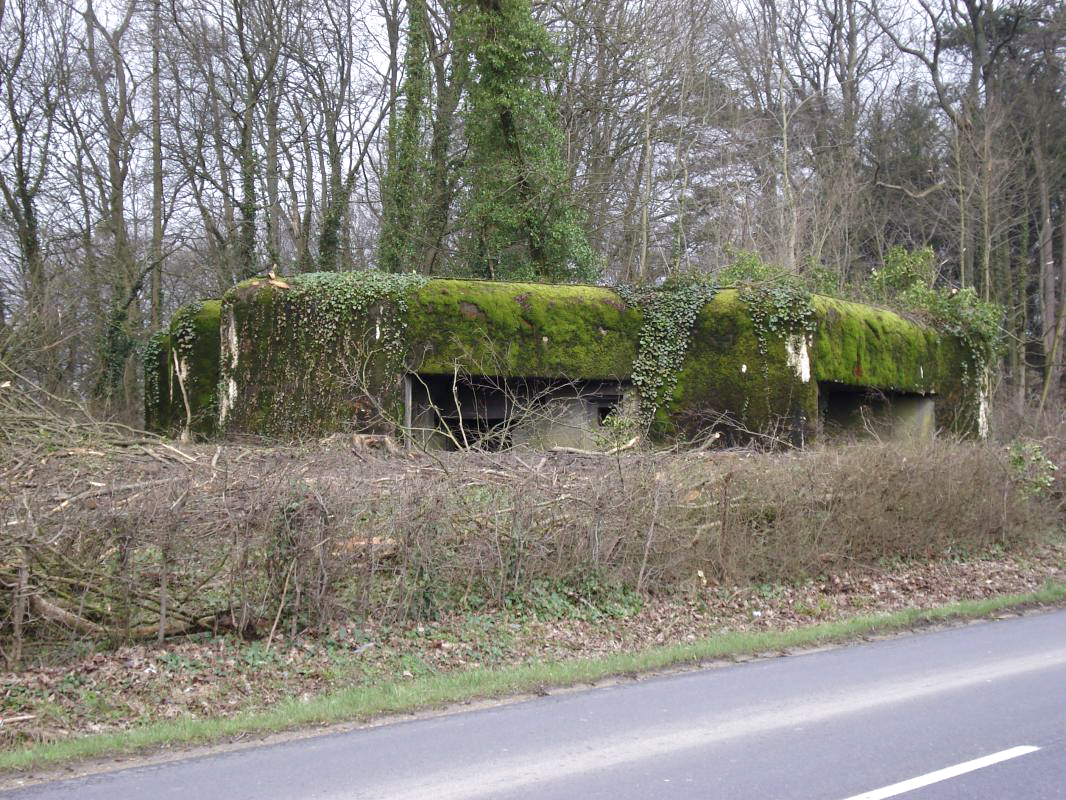 Ligne Maginot - 103 - CHATEAU BELLEVUE - (Blockhaus lourd type STG / STG-FCR - Double) -  - R Tucker