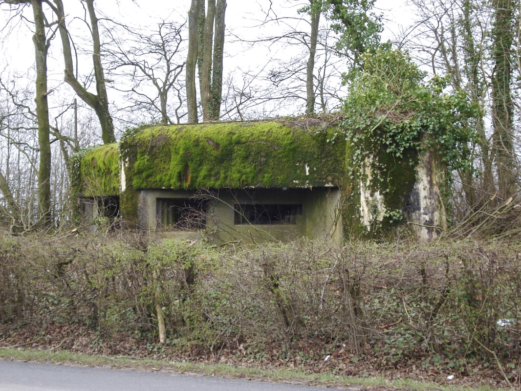 Ligne Maginot - 103 - CHATEAU BELLEVUE - (Blockhaus lourd type STG / STG-FCR - Double) -  - R Tucker