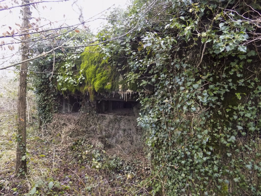 Ligne Maginot - 103 - CHATEAU BELLEVUE - (Blockhaus lourd type STG / STG-FCR - Double) - Face droite - Richard Tucker