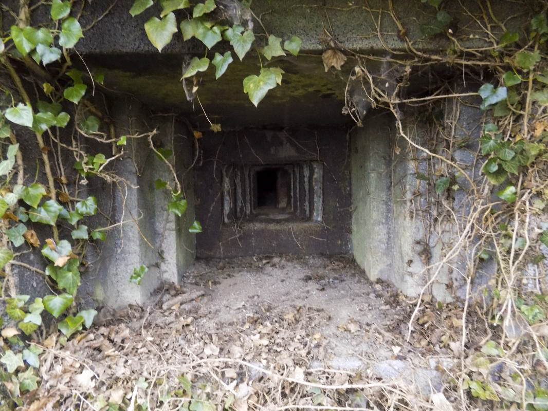 Ligne Maginot - 103 - CHATEAU BELLEVUE - (Blockhaus lourd type STG / STG-FCR - Double) - Face droite, créneau Hotchkiss - Richard Tucker