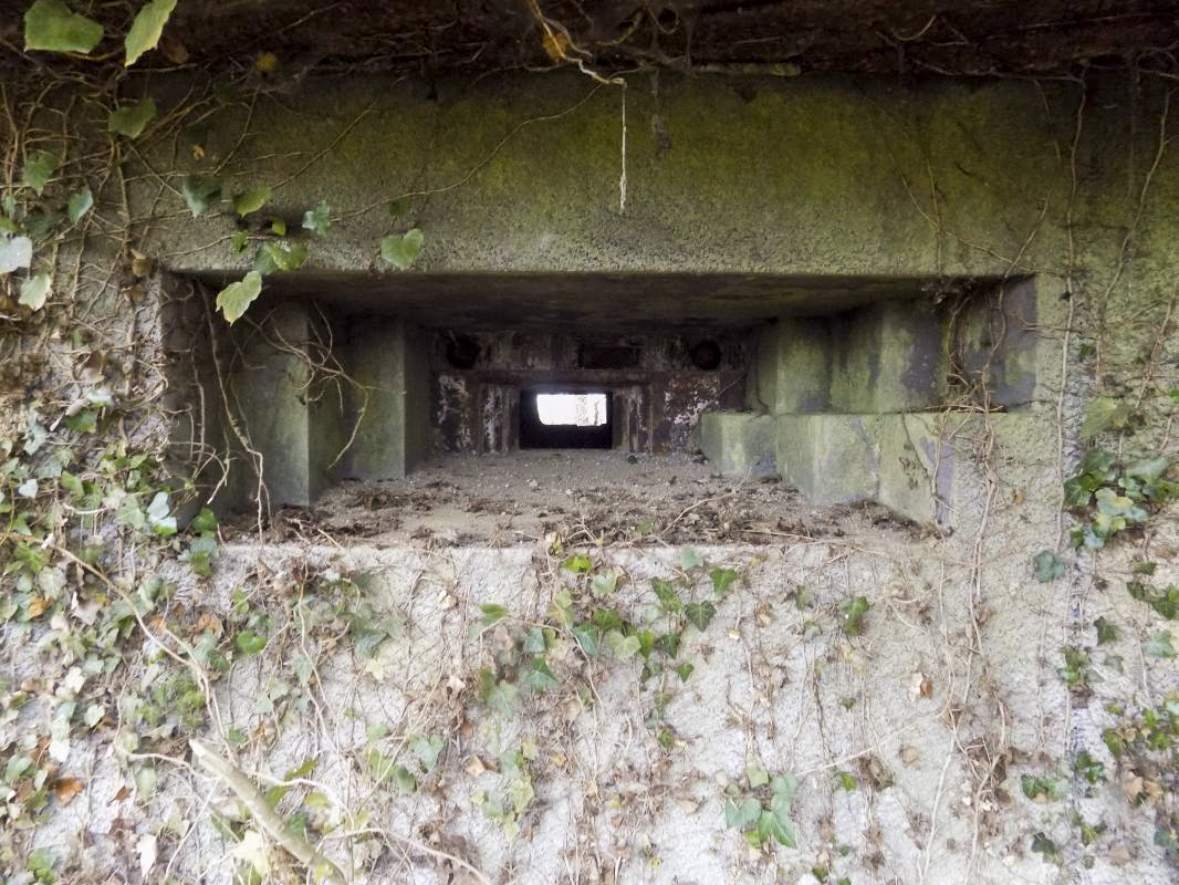 Ligne Maginot - 103 - CHATEAU BELLEVUE - (Blockhaus lourd type STG / STG-FCR - Double) - Face droite, créneau AC - R Tucker