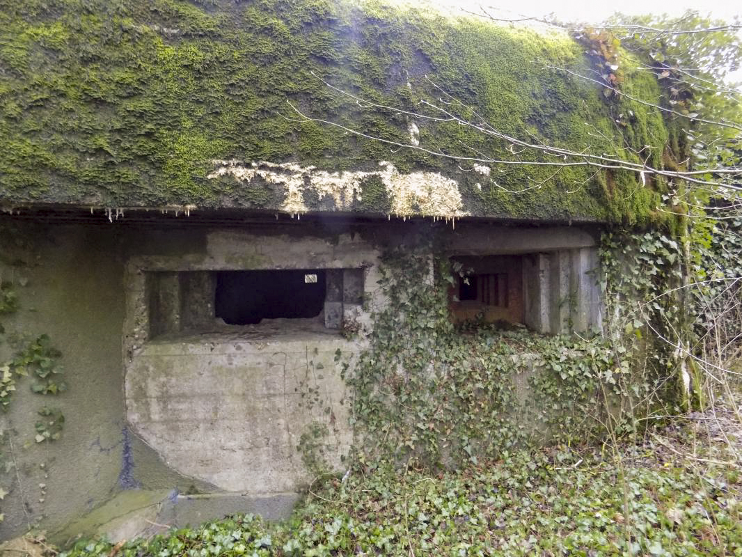 Ligne Maginot - 103 - CHATEAU BELLEVUE - (Blockhaus lourd type STG / STG-FCR - Double) - Face gauche - R Tucker