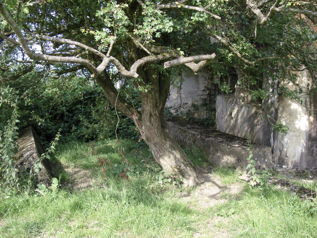 Ligne Maginot - 106 - PONT-MAUGIS - (Blockhaus lourd type STG / STG-FCR - Double) - Face vers Wadelincourt - R Tucker