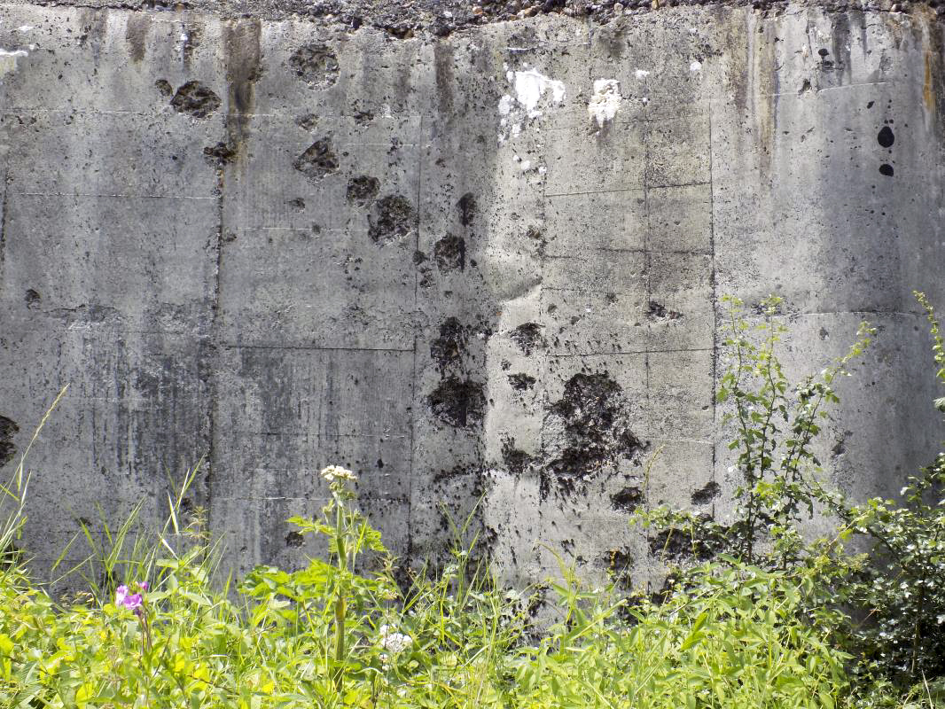 Ligne Maginot - 107 - LONGUES ORGIERES - (Blockhaus lourd type STG / STG-FCR - Double) - Face frontale, les dégâts d'obus - R Tucker