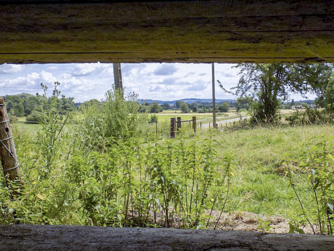 Ligne Maginot - 107 - LONGUES ORGIERES - (Blockhaus lourd type STG / STG-FCR - Double) - Vue du créneau AC, face droite vers le sud-est - R Tucker