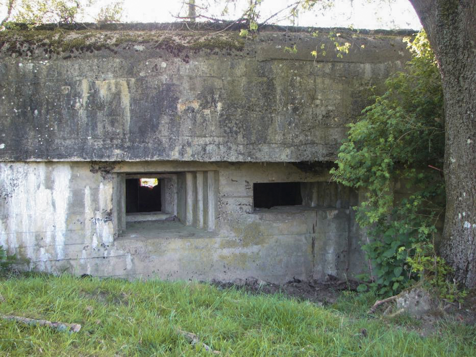 Ligne Maginot - 102 - FOSSE COLIN NOIZET - (Blockhaus lourd type STG / STG-FCR - Double) - Façade de tir Est.
Créneau mitrailleuse à gauche et créneau arme anti-char à droite. - J-F ALTHAUS - MMHA