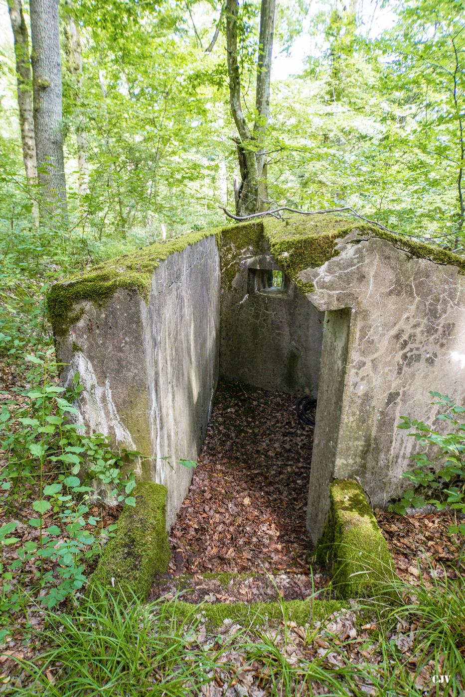 Ligne Maginot - LANGSTWALD 3 - (Blockhaus pour arme infanterie) -  - Lia VERMEULEN