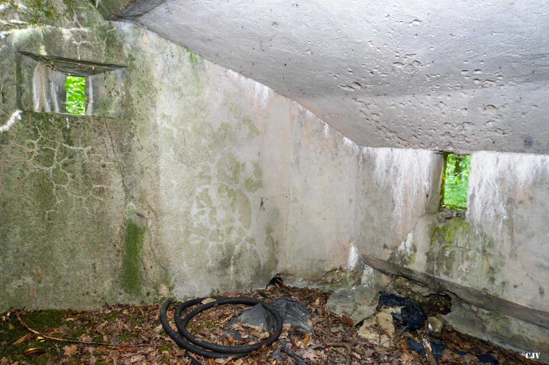 Ligne Maginot - LANGSTWALD 3 - (Blockhaus pour arme infanterie) -  - Lia VERMEULEN