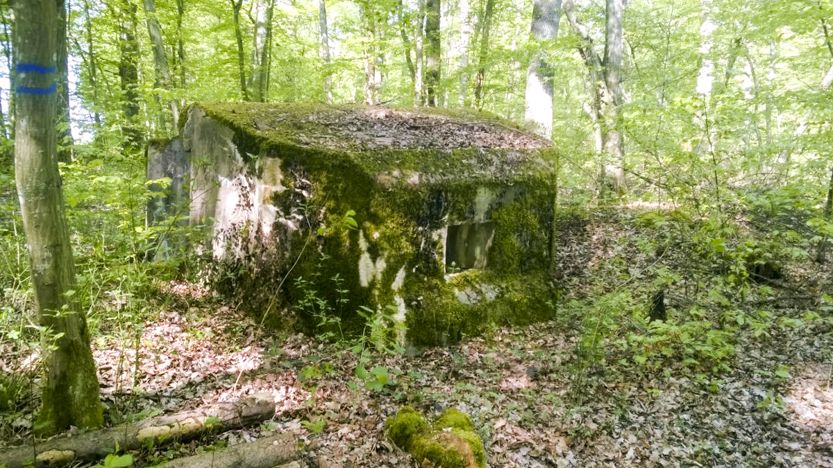 Ligne Maginot - LANGSTWALD 3 - (Blockhaus pour arme infanterie) -  - jin jac
