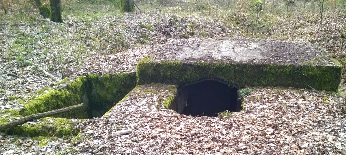 Ligne Maginot - LANGSTWALD 4 (Blockhaus pour arme infanterie) -  - jin jac