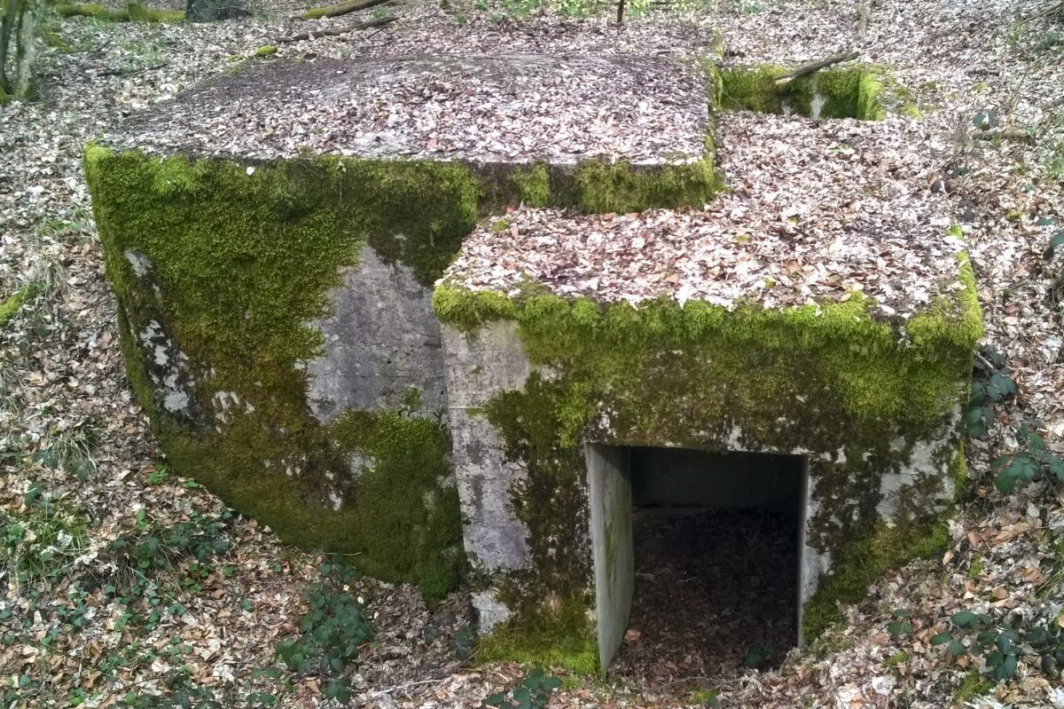 Ligne Maginot - LANGSTWALD 4 (Blockhaus pour arme infanterie) - L'entrée - jin jac