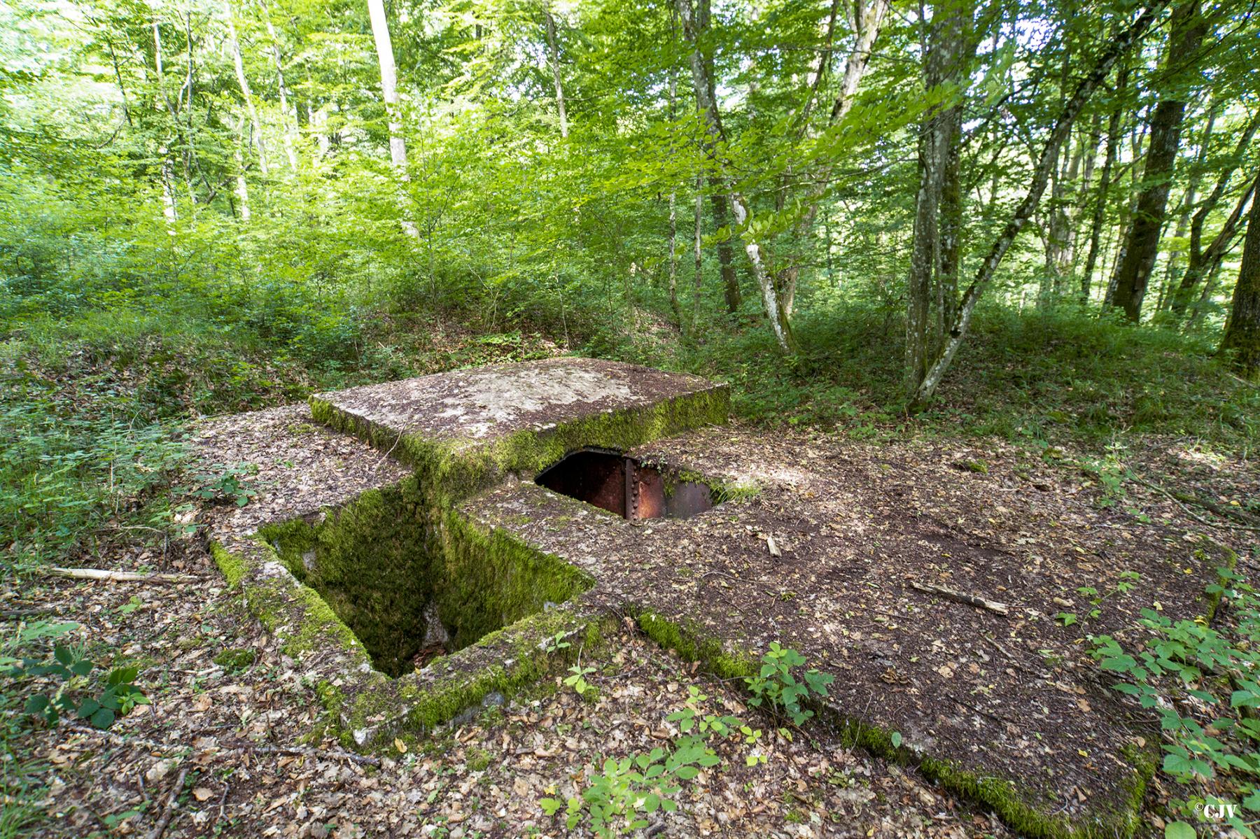 Ligne Maginot - LANGSTWALD 4 - (Blockhaus pour arme infanterie) -  - Lia VERMEULEN