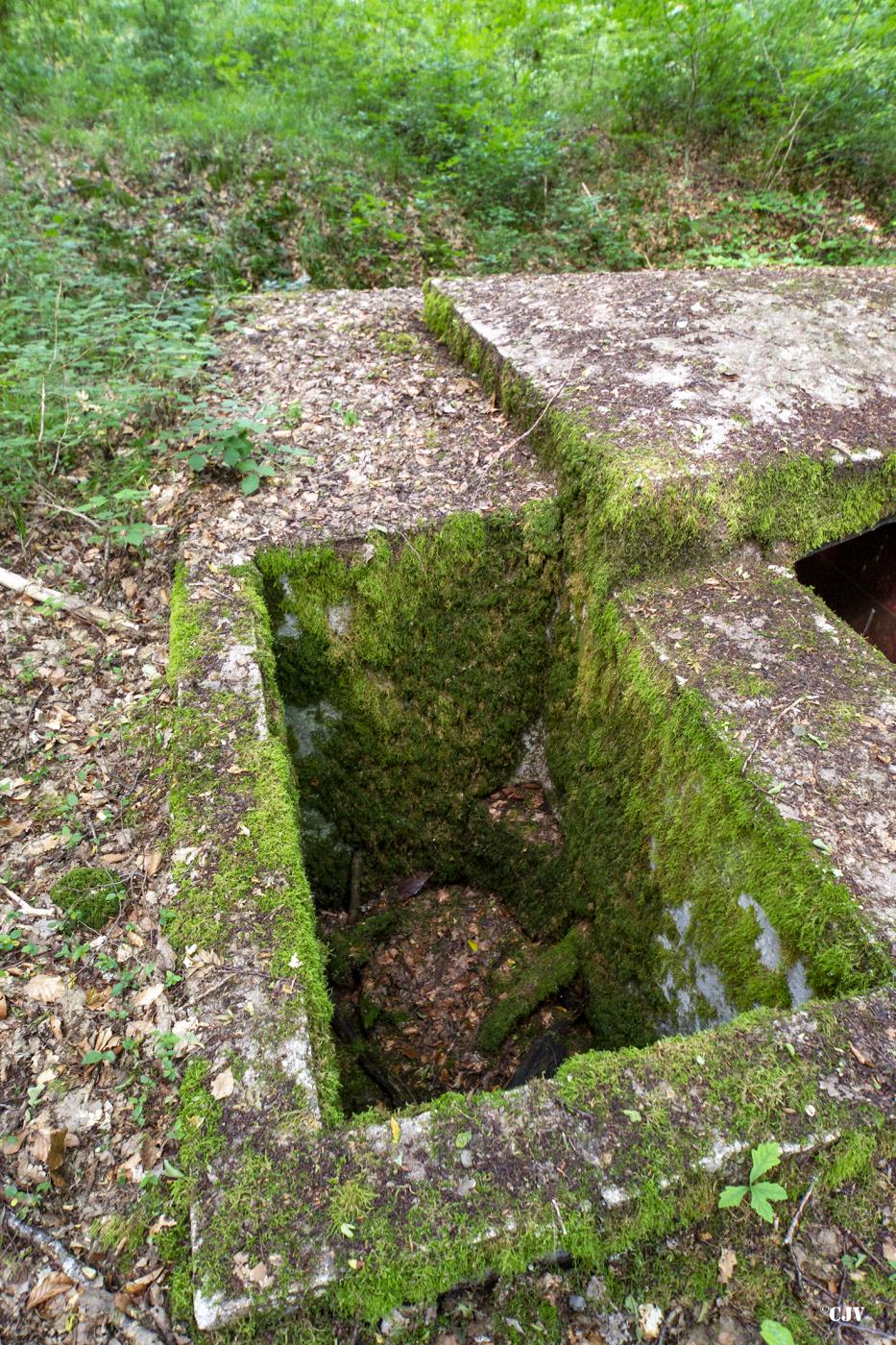 Ligne Maginot - LANGSTWALD 4 - (Blockhaus pour arme infanterie) - Fosse à douilles - Lia VERMEULEN