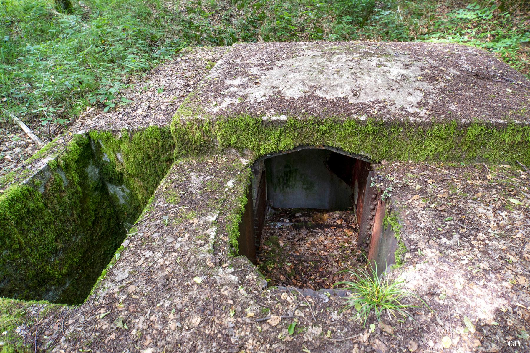 Ligne Maginot - LANGSTWALD 4 - (Blockhaus pour arme infanterie) -  - Lia VERMEULEN
