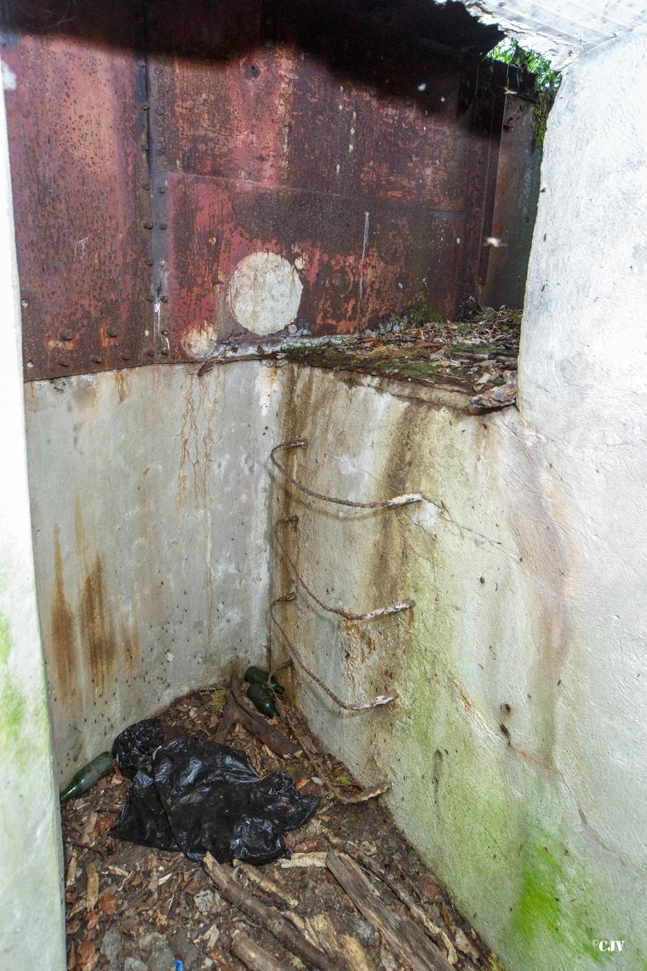 Ligne Maginot - LANGSTWALD 4 - (Blockhaus pour arme infanterie) -  - Lia VERMEULEN