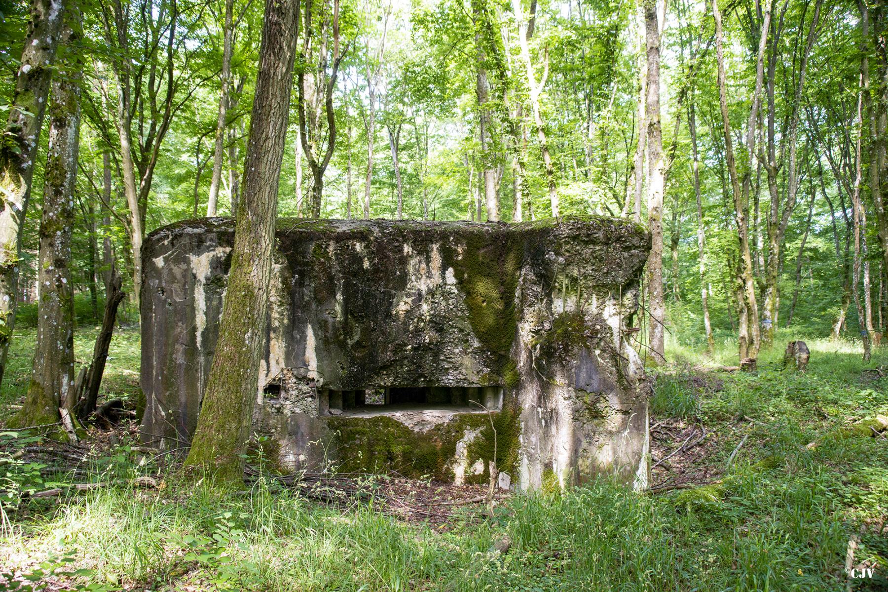 Ligne Maginot - LANGSTWALD 5 - (Blockhaus pour canon) -  - Lia VERMEULEN