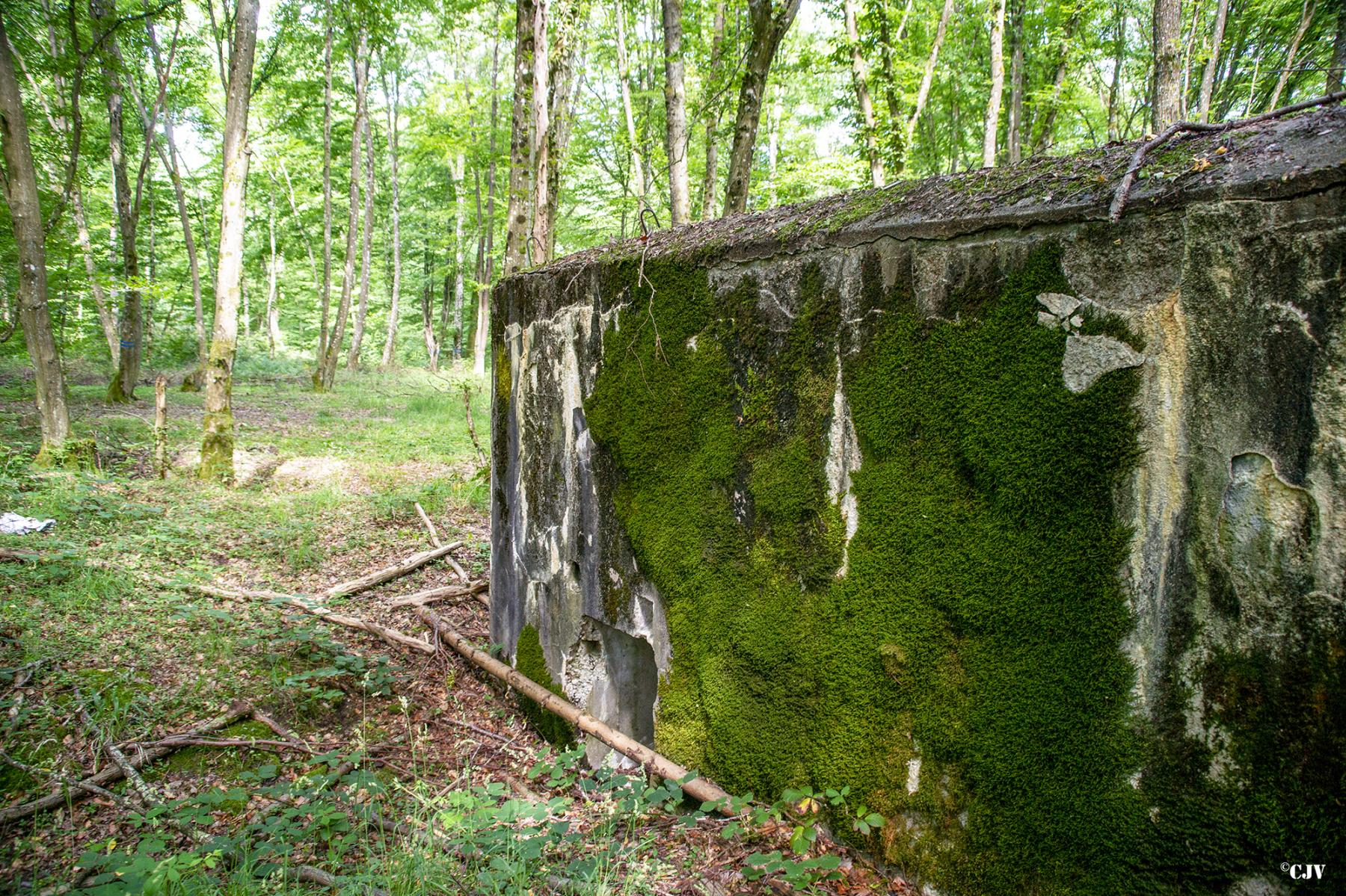 Ligne Maginot - LANGSTWALD 5 - (Blockhaus pour canon) - Entrée des hommes - Lia VERMEULEN