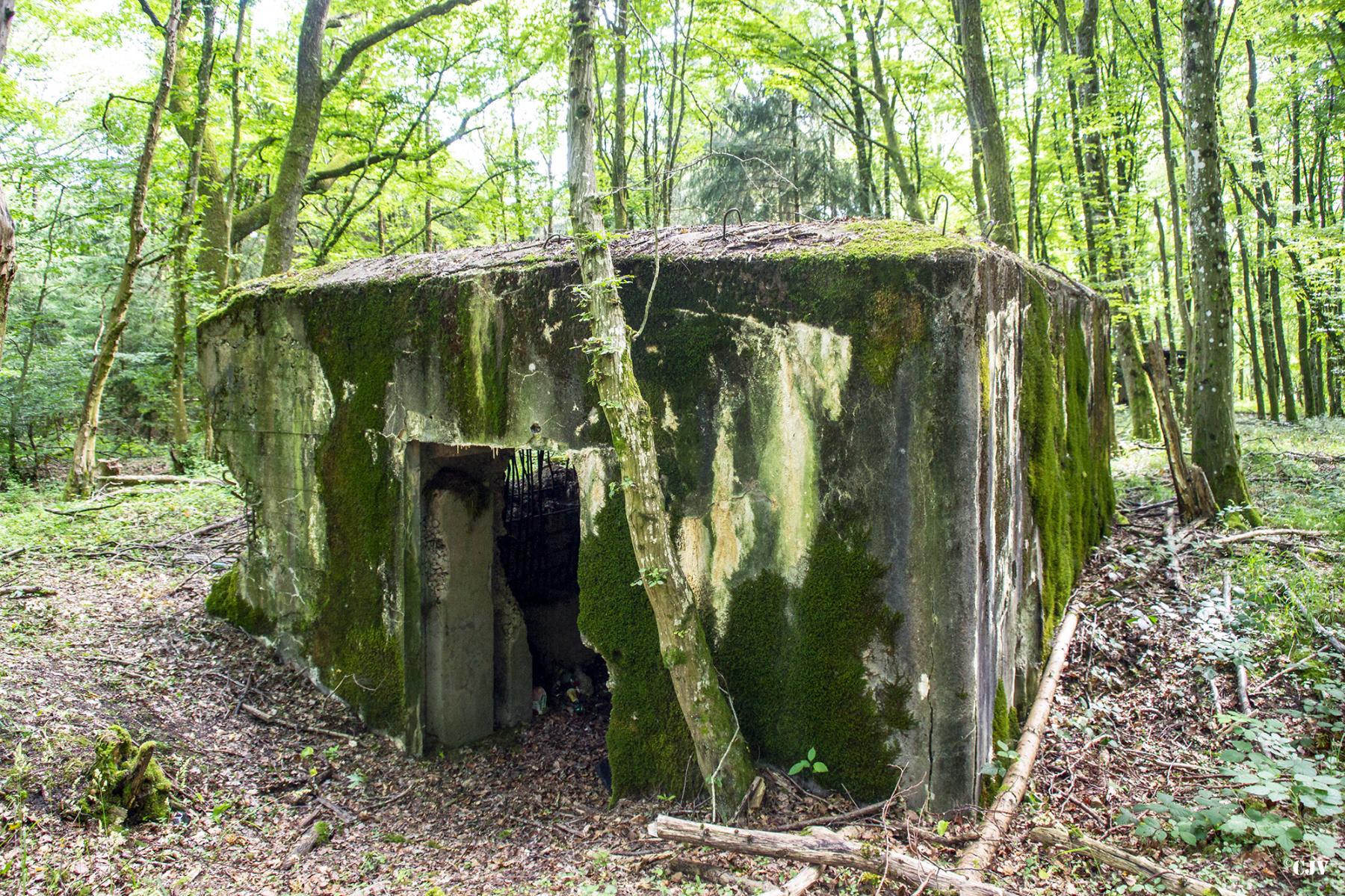 Ligne Maginot - LANGSTWALD 5 - (Blockhaus pour canon) - Entrée du matériel - Lia VERMEULEN