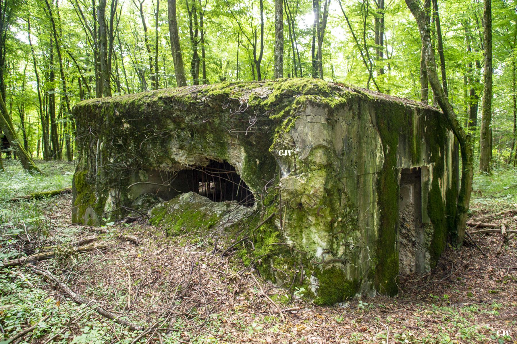 Ligne Maginot - LANGSTWALD 5 - (Blockhaus pour canon) - Le mur nord est percée - Lia VERMEULEN