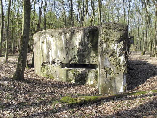 Ligne Maginot - LANGSTWALD 5 (Blockhaus pour canon) -  - AALMA - lignemaginot.com