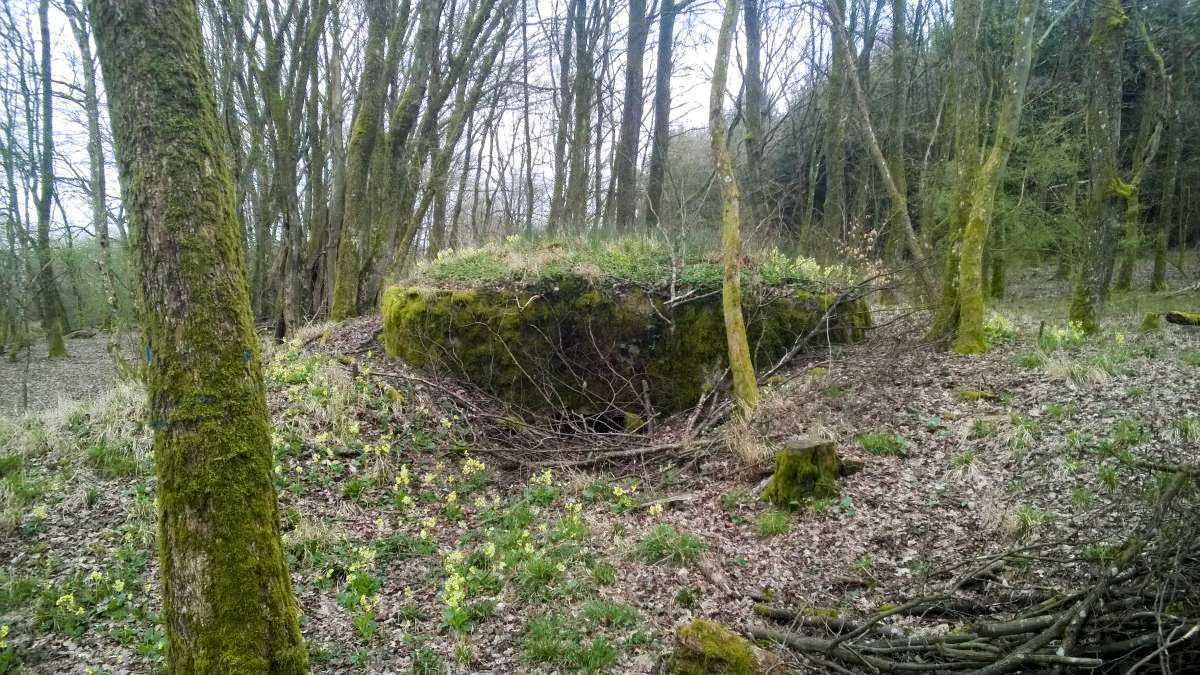 Ligne Maginot - LANGSTWALD 6 - (Blockhaus pour arme infanterie) -  - jin jac
